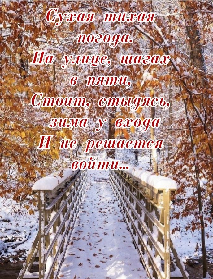 Сухая тихая погода. На улице, шагал в пять, Стоит, стыдясь, зима у входа И не решается войти...