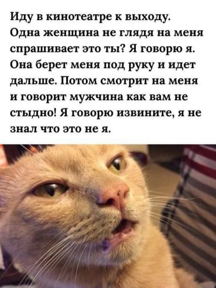 Иду в кинотеатр к выходу. Одна женщина не глядя на меня спрашивает это ты? Я говорю я. Она берет меня под руку и идет дальше. Потом смотрит на меня и говорит мужчина как вам не стыдно! Я говорю извните, я не знал что это не я.