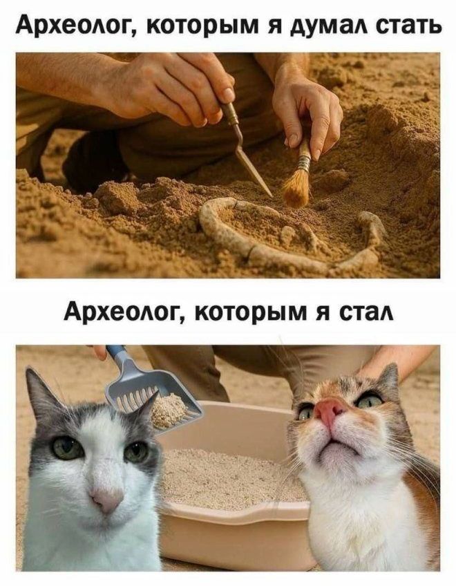 Археолог, которым я думал стать
Археолог, которым я стал