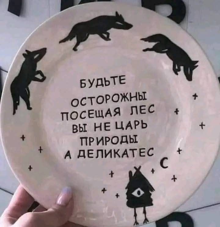 БУДЬТЕ ОСТОРОЖНЫ ПОСЕЩАЯ ЛЕС ВЫ НЕ ЦАРЬ ПРИРОДЫ А ДЕЛИКАТЕС