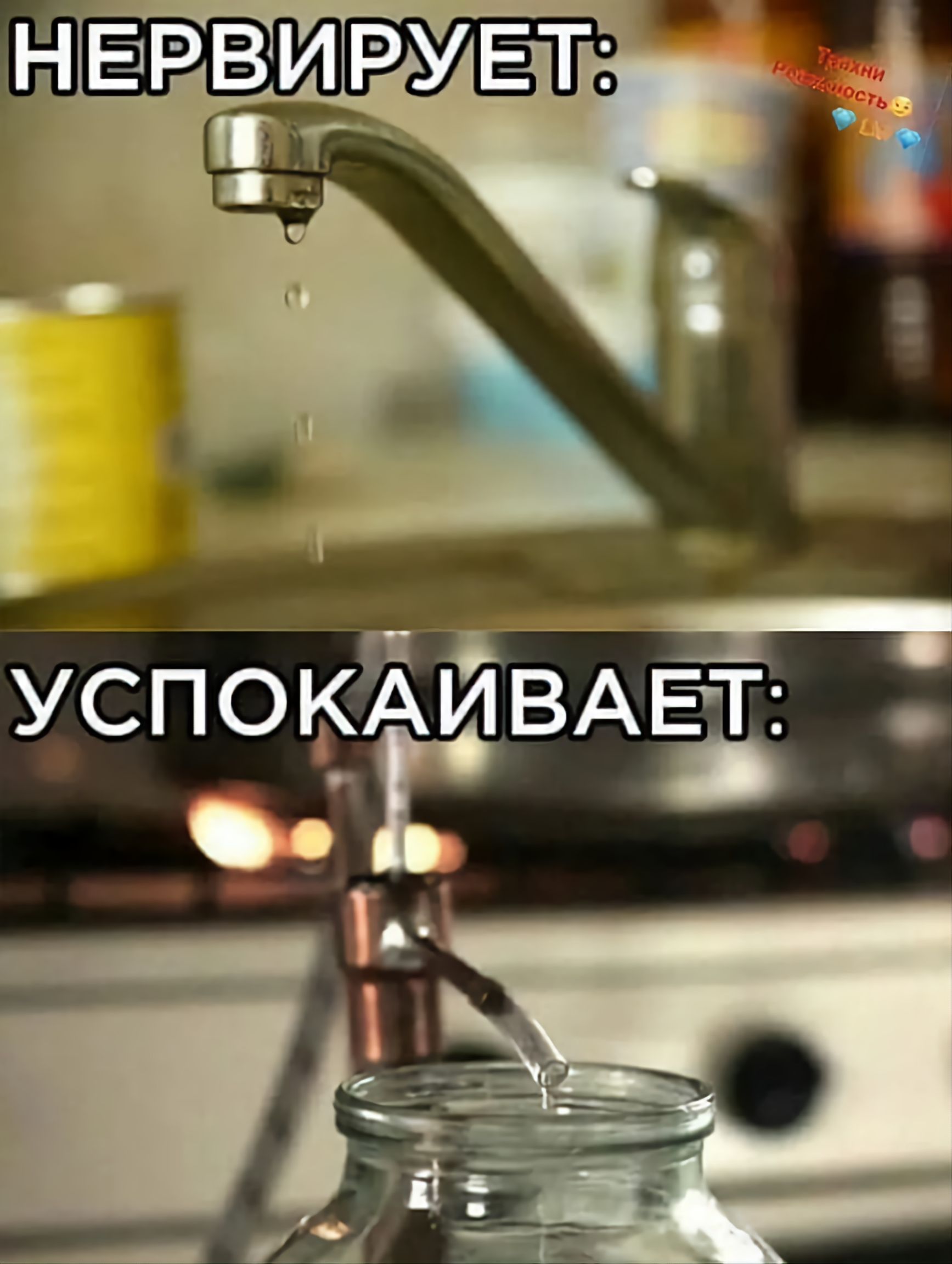 НЕРВИРУЕТ:
УСПОКАИВАЕТ: