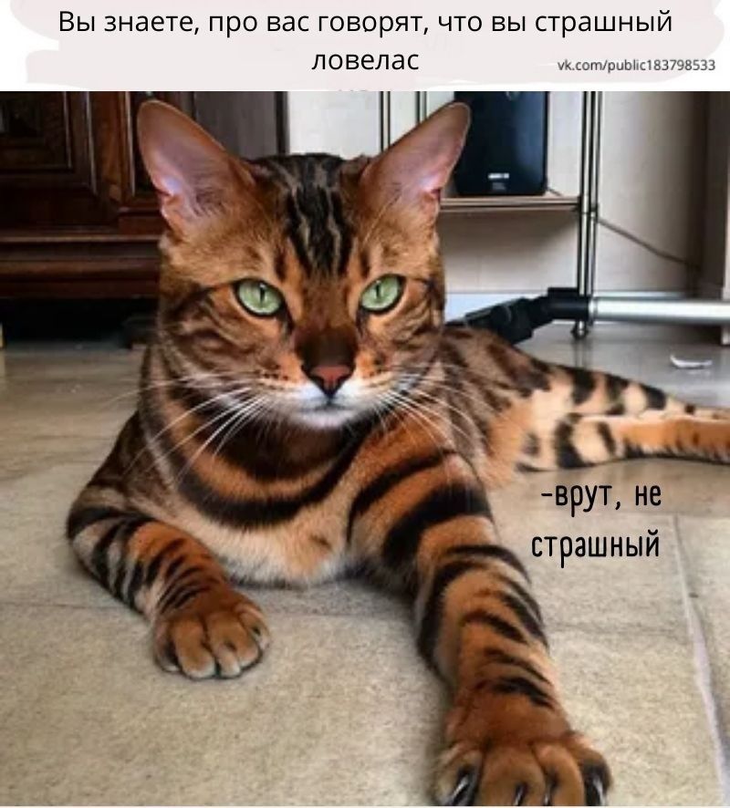 Вы знаете, про вас говорят, что вы страшный ловелас
-врут, не страшный