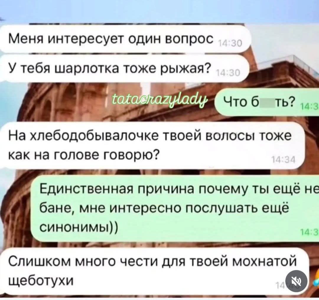 Меня интересует один вопрос
У тебя шарлотка тоже рыжая?
Что б ты?
На хлебобулиночке твоей волос(ы) тоже как на голове говорю?
Единственная причина почему ты ещё не бане, мне интересно послушать ещё синонимы)
Слишком много чести для твоей мохнатой щебтотухи