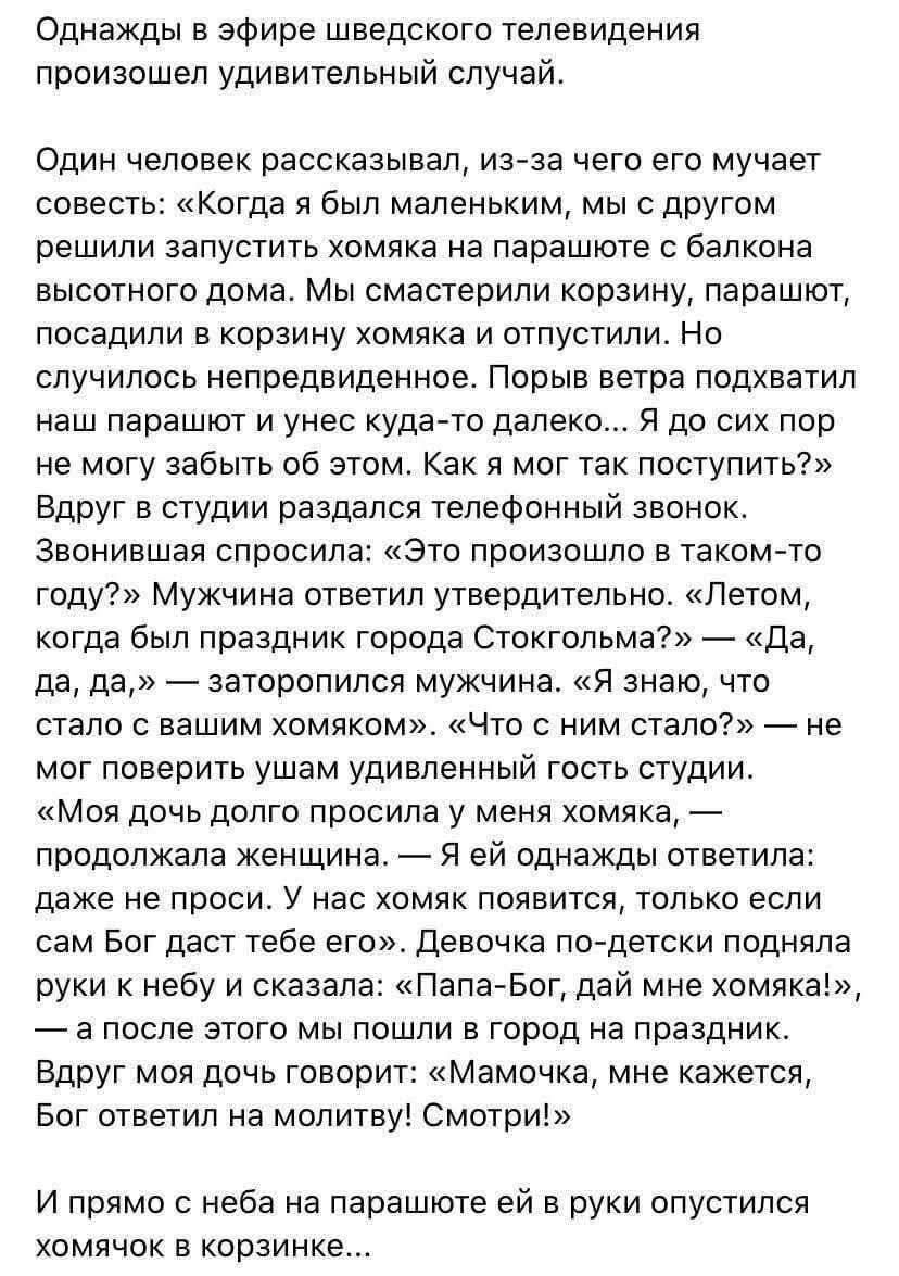 Однажды в эфире шведского телевидения произошёл удивительный случай.

Один человек рассказывал, из‑за чего его мучает совесть: «Когда я был маленьким, мы с другом решили запустить кота на парашюте с балкона высотного дома. Мы соорудили корзину, parachute, посадили в корзину хомяка и отпустили. Но случилось непредвиденное. Порыв ветра подхватил наш 