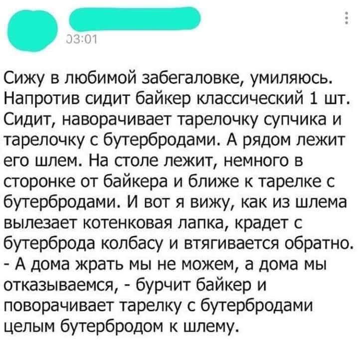 Сижу в любимой заебаловке, умиляюсь. Напротив сидит байкер классический 1 шт. Сидит, наговаривает тарелочку супчика и тарелочку с бутербродами. А рядом лежит его шлем. На столе лежит, немного в стороне от байкера и ближе к тарелке с бутербродами. И вот я вижу, как из шлема вылезает котенок лапка, крадет с бутердоба колбасу и тягивается обратно. - А