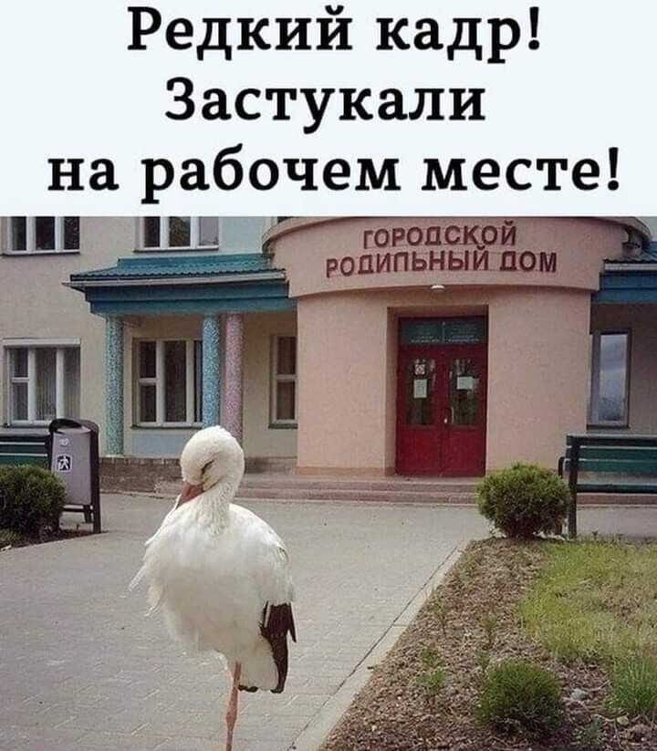 Редкий кадр! Застукали на рабочем месте! ГОРОДСКОЙ РОДИЛЬНЫЙ ДОМ