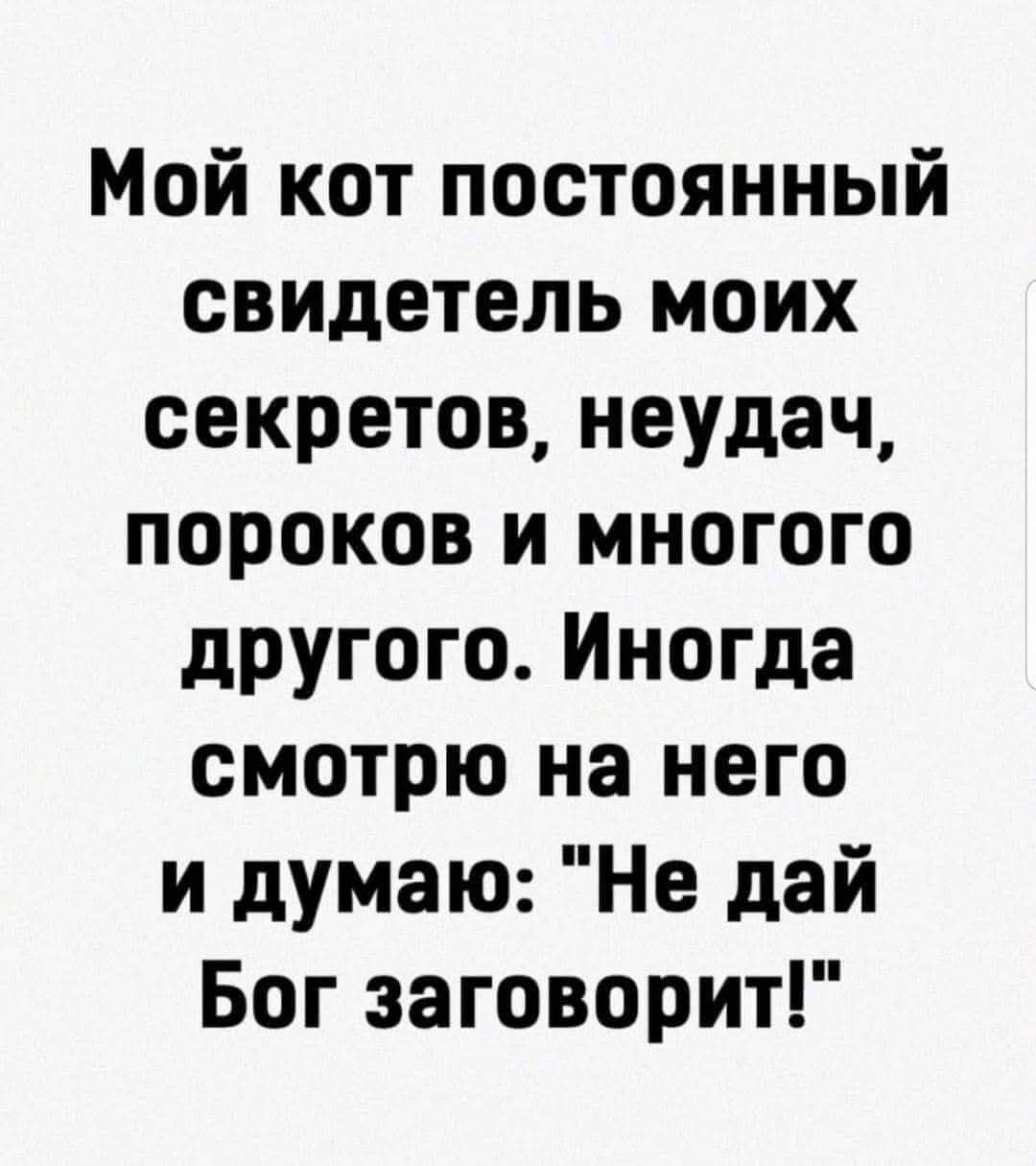 Мой кот постоянный свидетель моих секретов, неудач, пороков и многого другого. Иногда смотрю на него и думаю: 