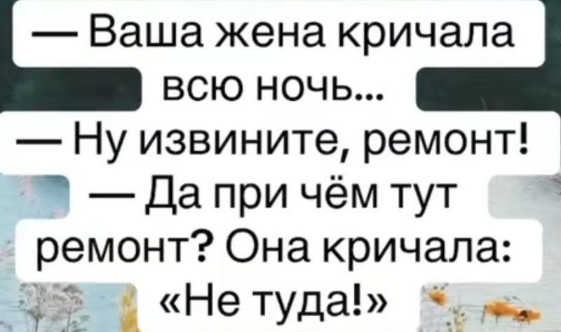 — Ваша жена кричала всю ночь...
— Ну извинийте, ремонт!
— Да при чём тут ремонт? Она кричала: «Не туда!»