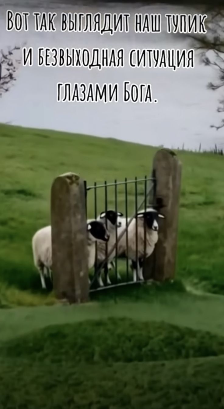 Вот так выглядит наш тупик и безвыходная ситуация глазами Бога.