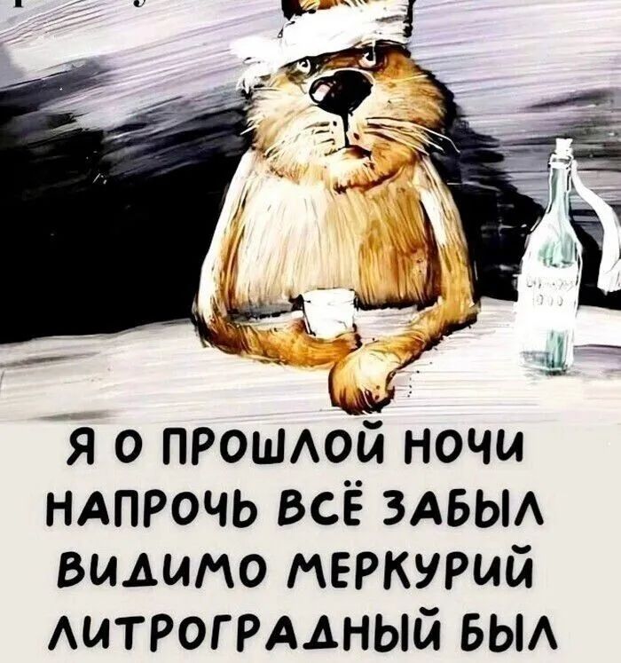 Я о прошлой ночи напрочь всё забыл, видимо Меркурий ретроградный был