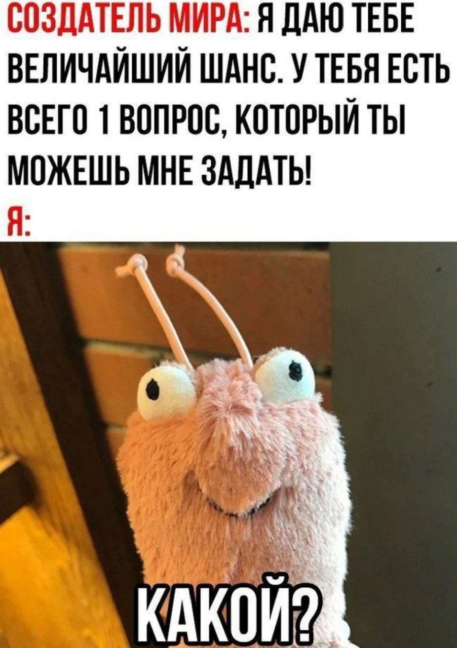 СОЗДАТЕЛЬ МИРА: Я ДАЮ ТЕБЕ ВЕЛИЧАЙШИЙ ШАНС. У ТЕБЯ ЕСТЬ ВСЕГО 1 ВОПРОС, КОТОРЫЙ ТЫ МОЖЕШЬ МНЕ ЗАДАТЬ! Я: КАКОЙ?