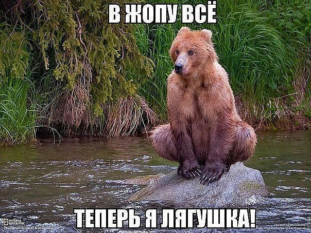 В ЖОПУ ВСЁ Теперь Я ЛЯГУШКА!