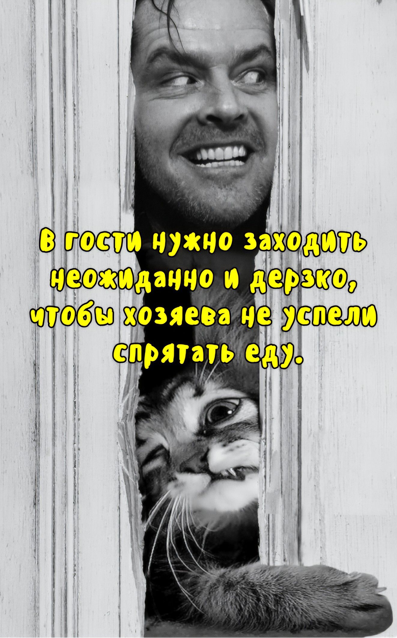 В гости нужно заходить неожиданно и дерзко, чтобы хозяева не успели спрятать еду.