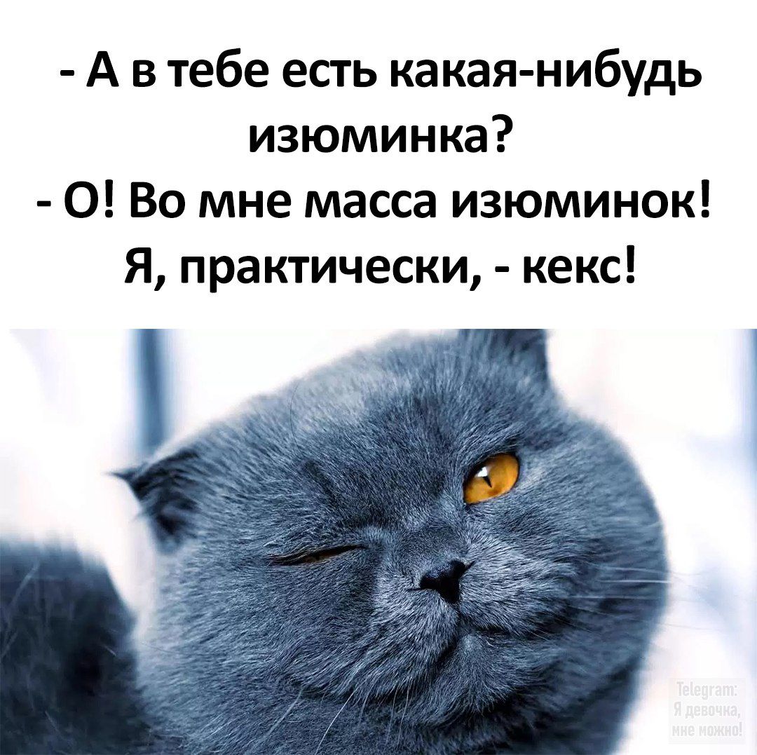 - А в тебе есть какая-нибудь изюминка? - О! Во мне масса изюминок! Я, практически, - кекс!