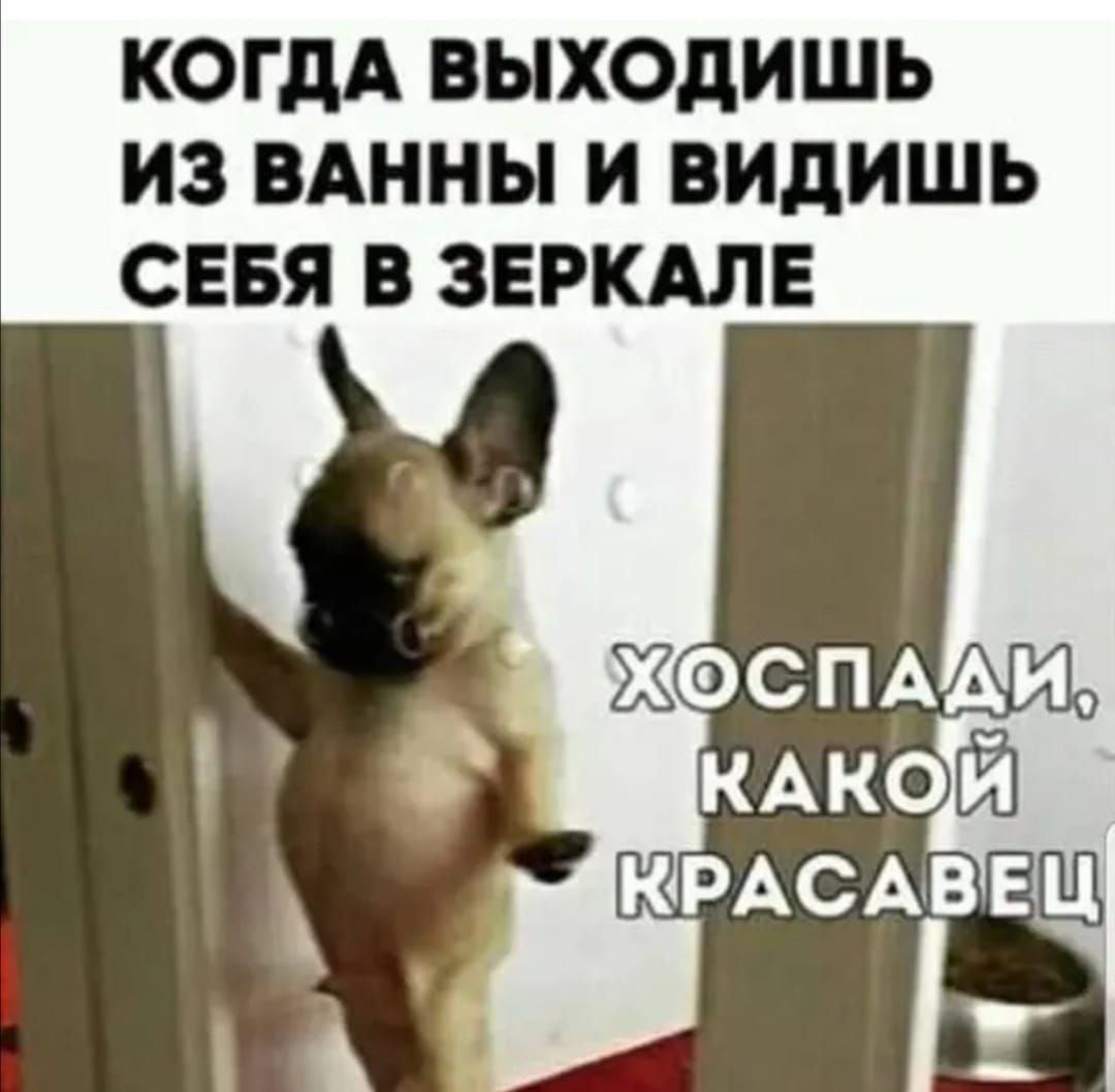 КОГДА ВЫХОДИШЬ ИЗ ВАННЫ И ВИДИШЬ СЕБЯ В ЗЕРКАЛЕ
ХОСПАДИ, КАКОЙ КРАСАВЕЦ