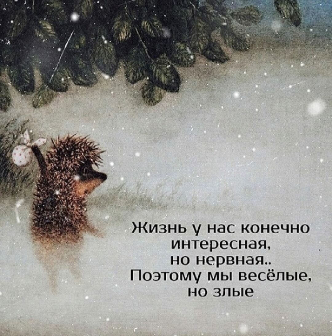 Жизнь у нас конечно интересная, но нервная... Поэтомy мы весёлые, но злые