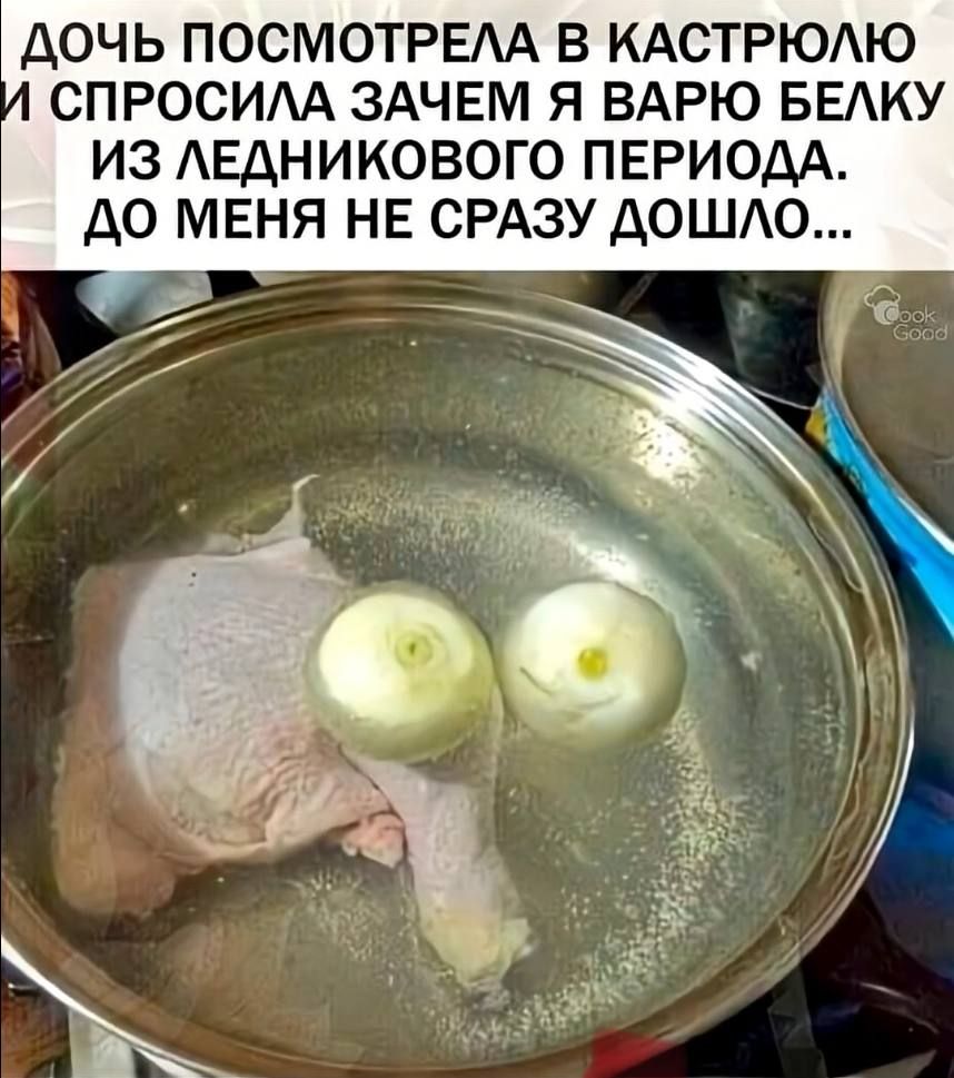 ДОЧЬ ПОСМОТРЕЛА В КАСТРЮЛЮ И СПРОСИЛА ЗАЧЕМ Я ВАРЮ БЕЛКУ ИЗ ЛЕДНИКОВОГО ПЕРИОДА. ДО МЕНЯ НЕ СРАЗУ ДОШЛО...