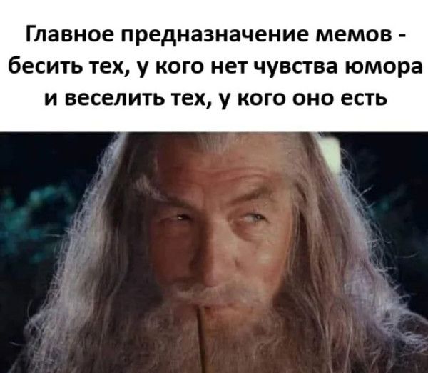 Главное назначение мемов - бесить тех, у кого нет чувства юмора и веселить тех, у кого оно есть