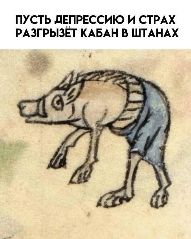 ПУСТЬ ДЕПРЕССИЮ И СТРАХ РАЗГРЫЗЁТ КАБАН В ШТАНАХ