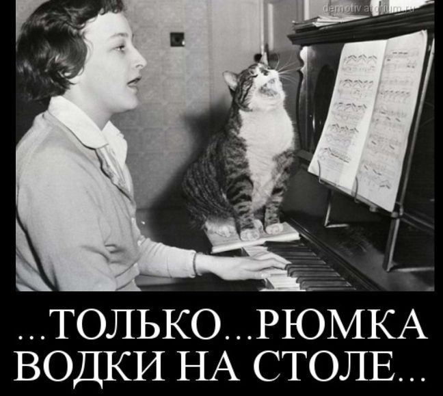 ...ТОЛЬКО... Рюмка водки на столе...