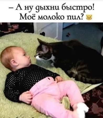 - А ну дышни быстро! Моё молоко пил?