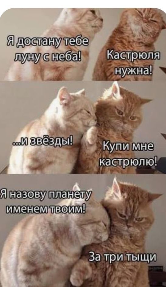 Я достану тебе луну с неба! Кастрюля нужна! …и звёзды! Купи мне кастрюлю! Я назову планету именем твоим! За три тыщи