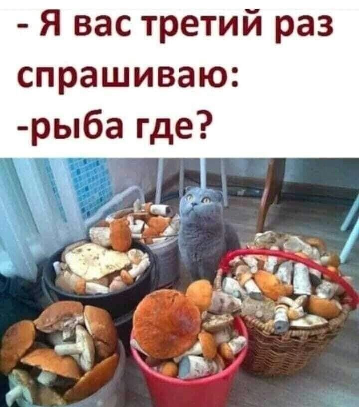 - Я вас третий раз спрашиваю:
-рыба где?
