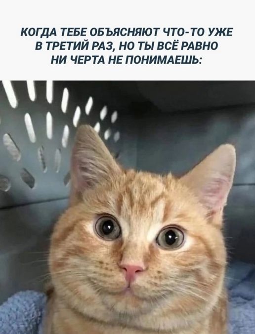 КОГДА ТЕБЕ ОБЪЯСНЯЮТ ЧТО-ТО УЖЕ В ТРЕТИЙ РАЗ, НО ТЫ ВСЁ РОВНО НИ ЧЕРТА НЕ ПОНИМАЕШЬ: