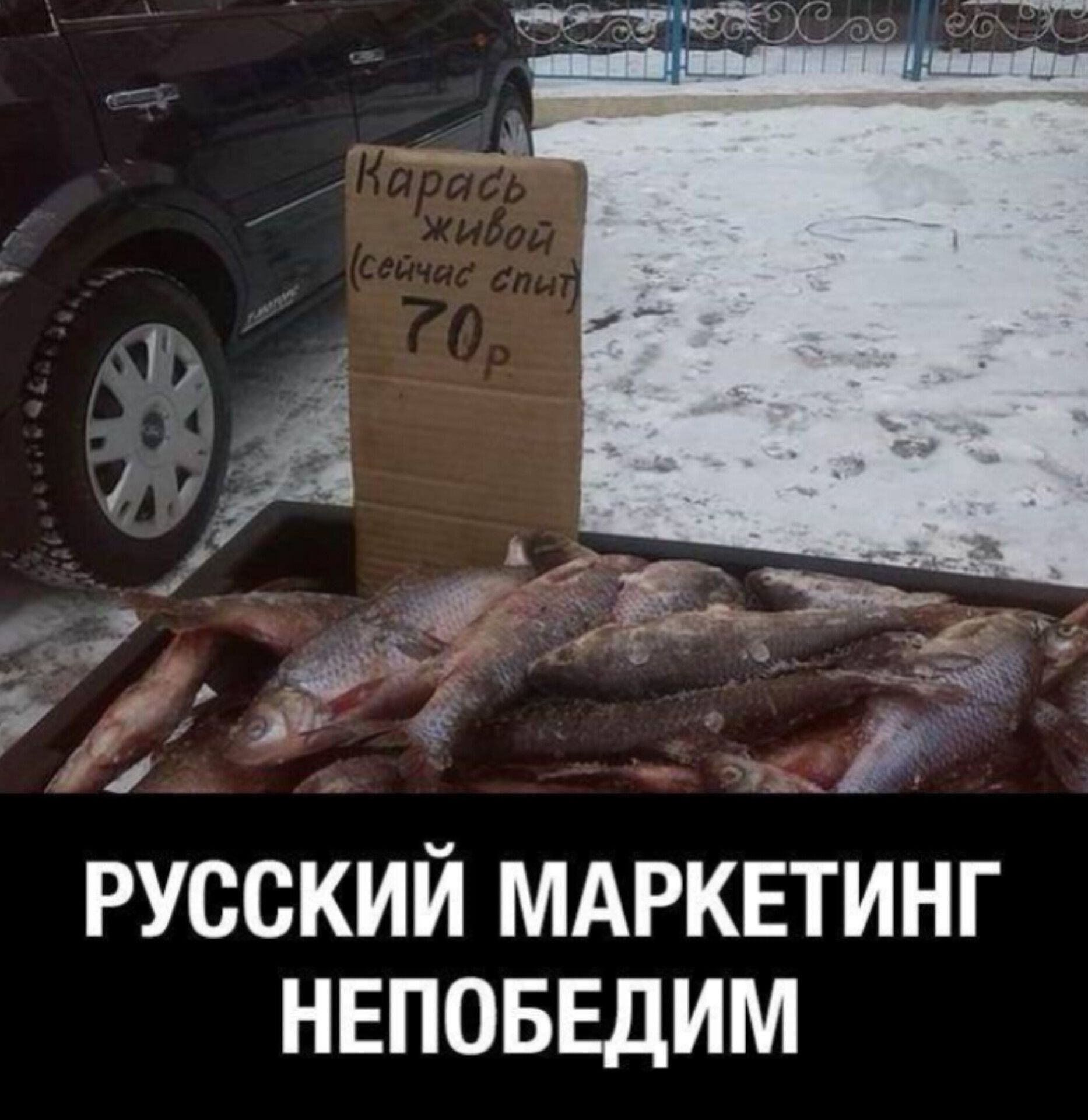 Карась живой (сейчас спит) 70р

РУССКИЙ МАРКЕТИНГ НЕПОБЕДИМ