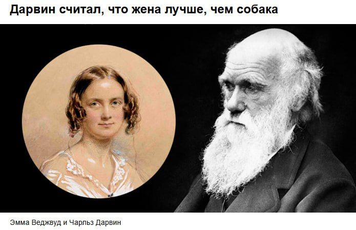 Дарвин считал, что жена лучше, чем собака
Эмма Веджвуд и Чарльз Дарвин