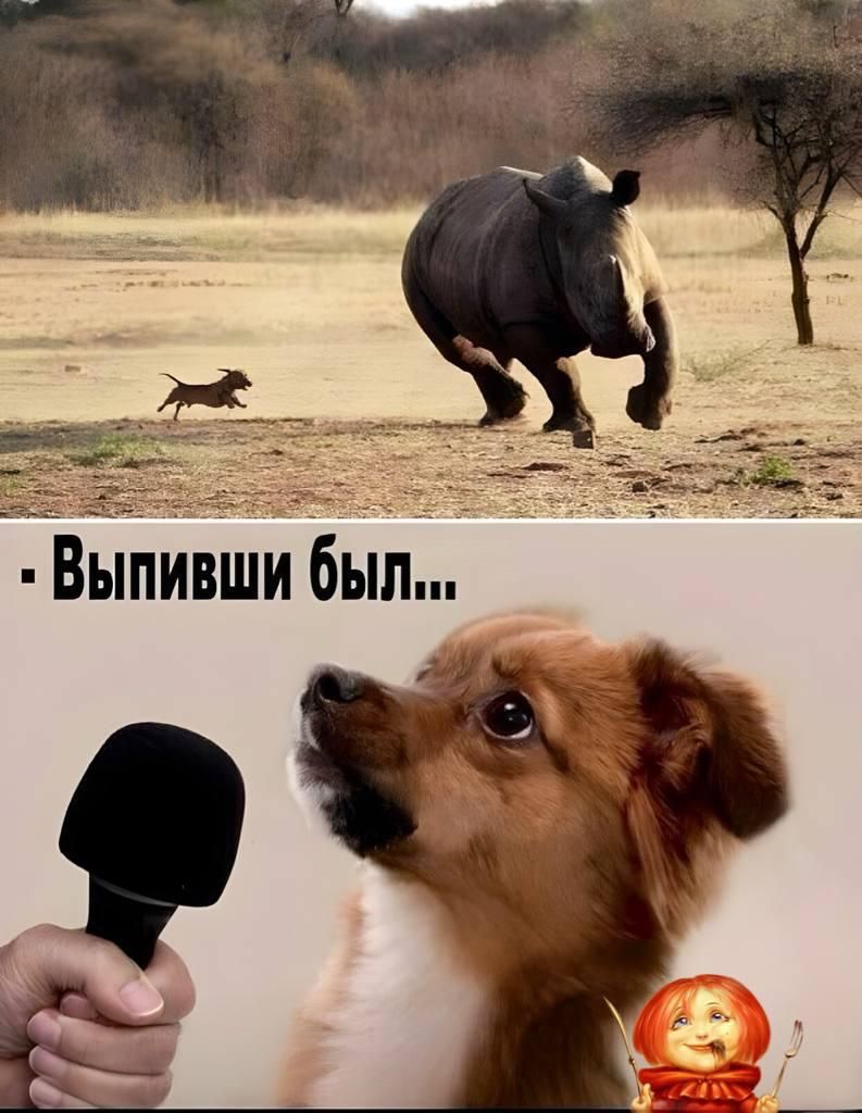 - Выпивши был...
