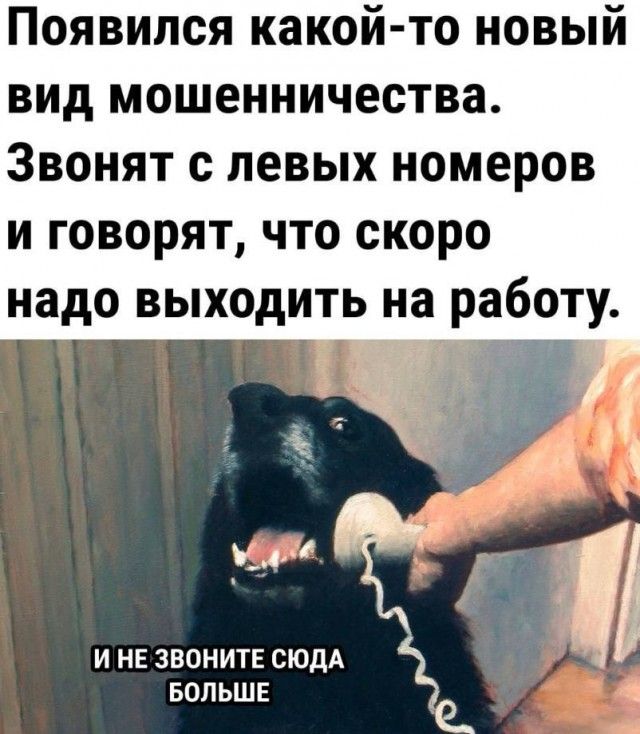 Появился какой-то новый вид мошенничества. Звонят с левых номеров и говорят, что скоро надо выходить на работу. И НЕ ЗВОНИТЕ СЮДА БОЛЬШЕ