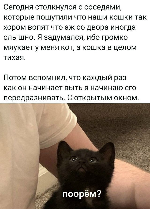 Сегодня столкнулся с соседями, которые пошутили что наши кошки так хором вопят что аж со двора иногда слышно. Я задумался, ибо громко мяукает у меня кот, а кошка в целом тихая. Потом вспомнил, что каждый раз как он начинает выть я начинаю его передразнивать. С открытым окном. 
поорём?