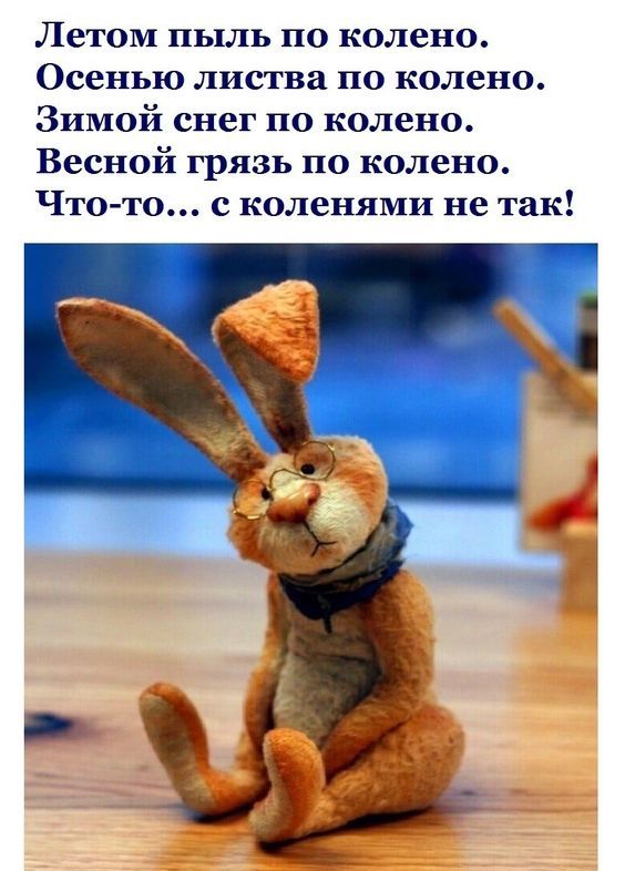 Летом пыль по колено.
Осенью листья по колено.
Зимой снег по колено.
Весной грязь по колено.
Что-то... с коленями не так!