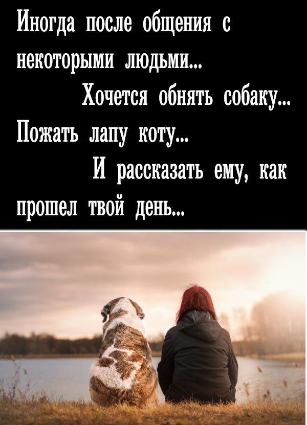 Иногда после общения с некоторыми людьми...
Хочется обнять собаку...
Пожать лапу коту...
И рассказать ему, как прошел твой день...