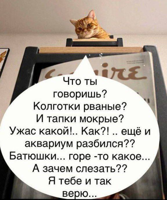 Что ты говоришь? Колготки рваные? И тапки мокрые? Ужас какой!.. Как?! .. ещё и аквариум разбился?? Батюшки... горе -то какое... А зачем слезать?? Я тебе и так верю...