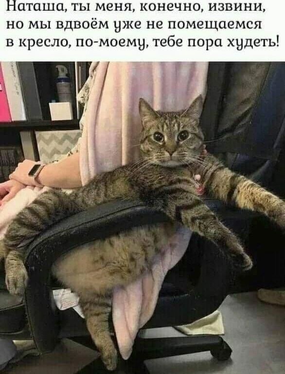 Наташа, ты меня, конечно, извини, но мы вдвоём уже не помещаемся в кресло, по-моему, тебе пора худеть!