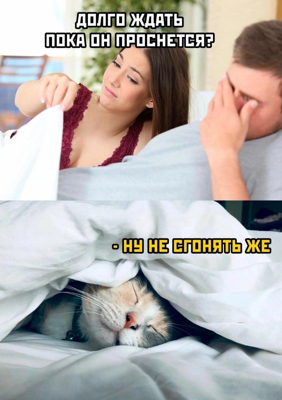 ДОЛГО ЖДАТЬ ПОКА ОН ПРОСНЕТСЯ?
- НУ НЕ СТОНЯТЬ ЖЕ