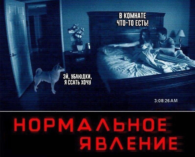 В комнате что-то есть! Эй, уйди, я спать хочу. НОРМАЛЬНОЕ ЯВЛЕНИЕ