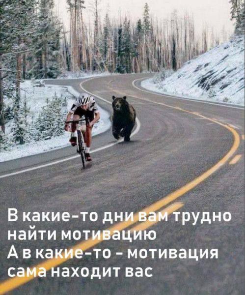 В какие-то дни вам трудно найти мотивацию
А в какие-то - мотивация сама находит вас
