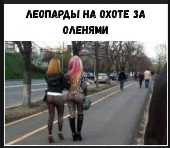 ЛЕОПАРДЫ НА ОХОТЕ ЗА ОЛЕНИЯМИ