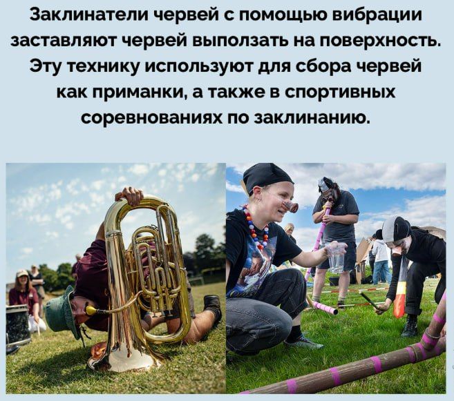 Заклинатели червей с помощью вибрации заставляют червей выполнять на поверхность. Эта техника используют для сбора червей как приманки, а также в спортивных соревнованиях по закликанию.