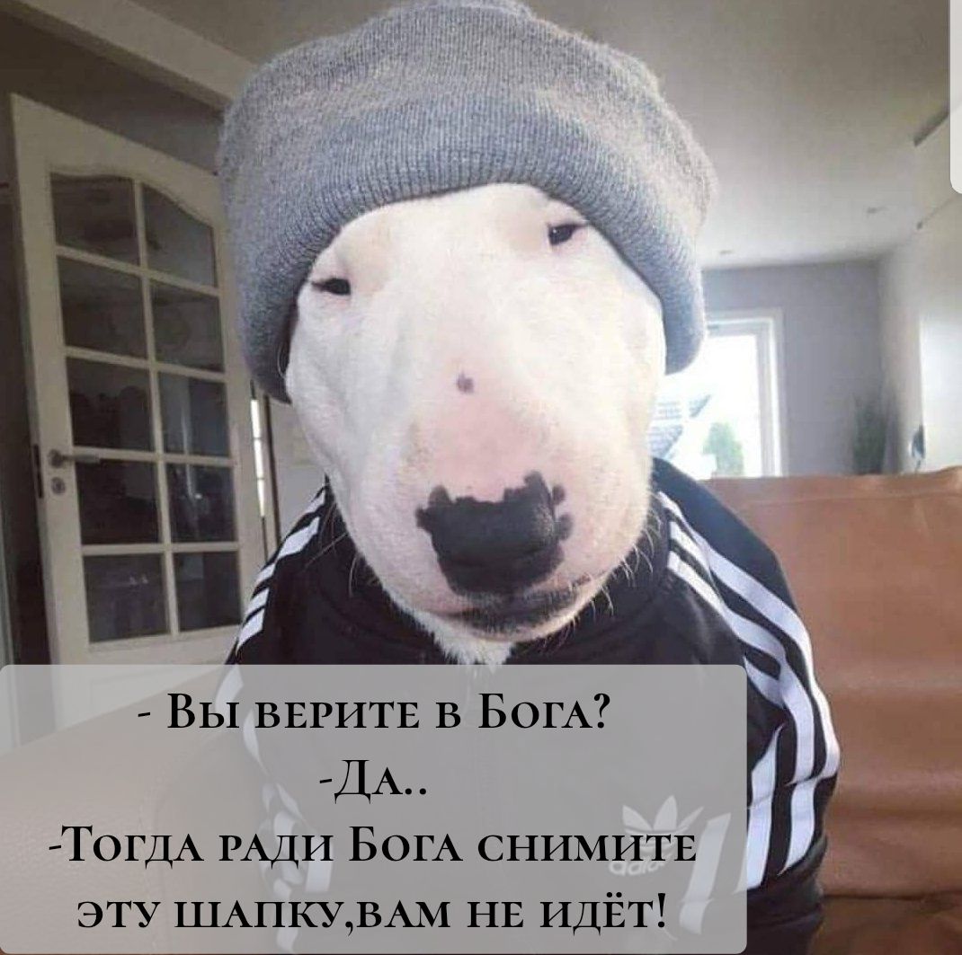 - Вы верите в Бога?
- Да..
- Тогда ради Бога снимите эту шапку,вам не идёт!