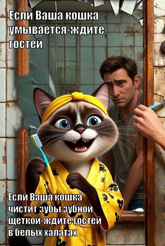 Если Ваша кошка умывается- ждите гостей
Если Ваша кошка чистит зубы зубной щеткой ждите гостей в белых халатах