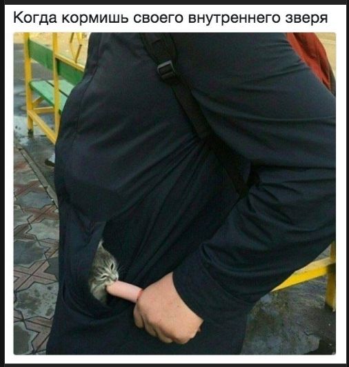 Когда кормишь своего внутреннего зверя