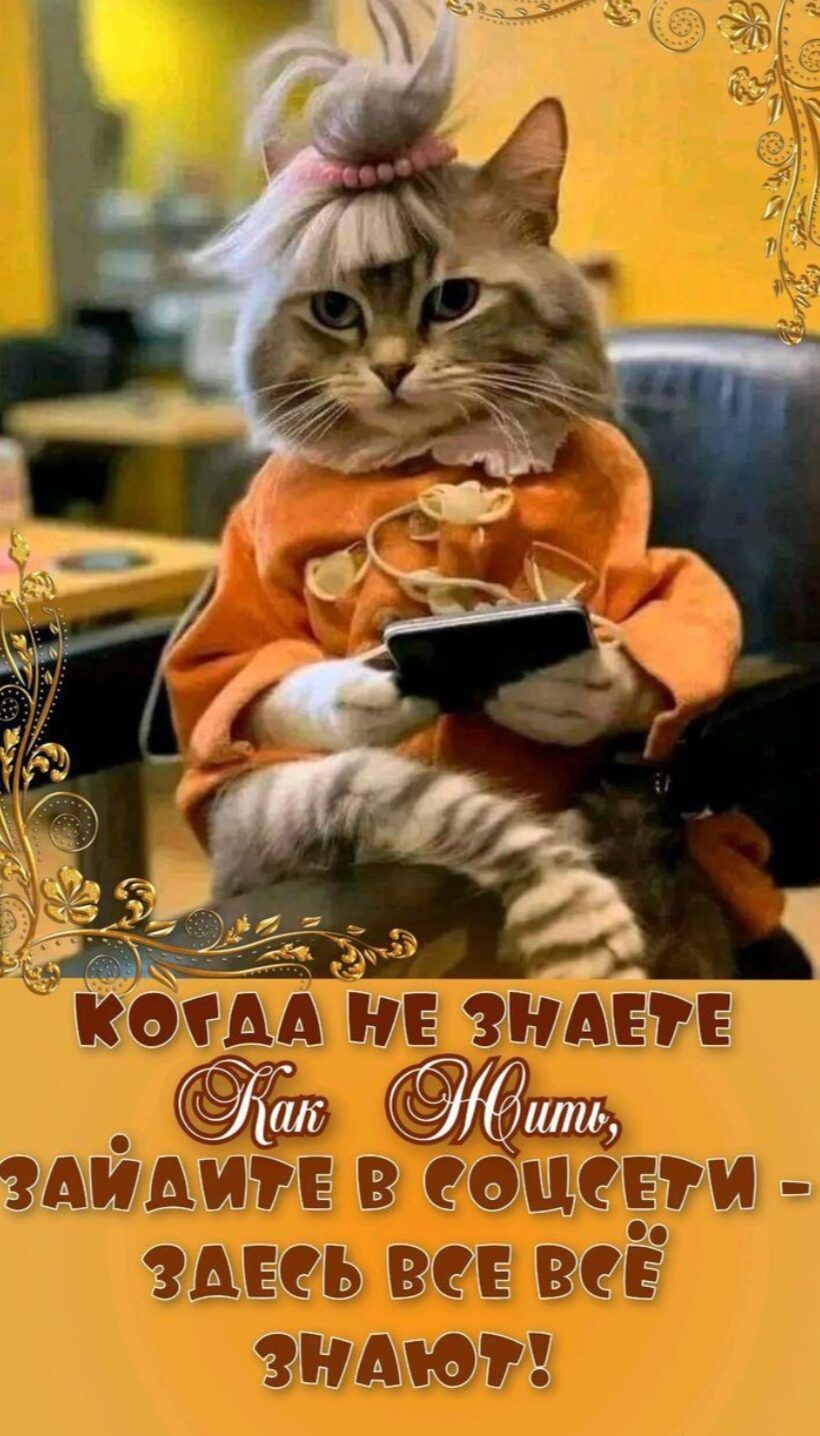 КОГДА НЕ ЗНАЕТЕ Как ЖИТЬ, ЗАЙДИТЕ В СОЦСЕТИ - ЗДЕСЬ ВСЕ ВСЁ ЗНАЮТ!