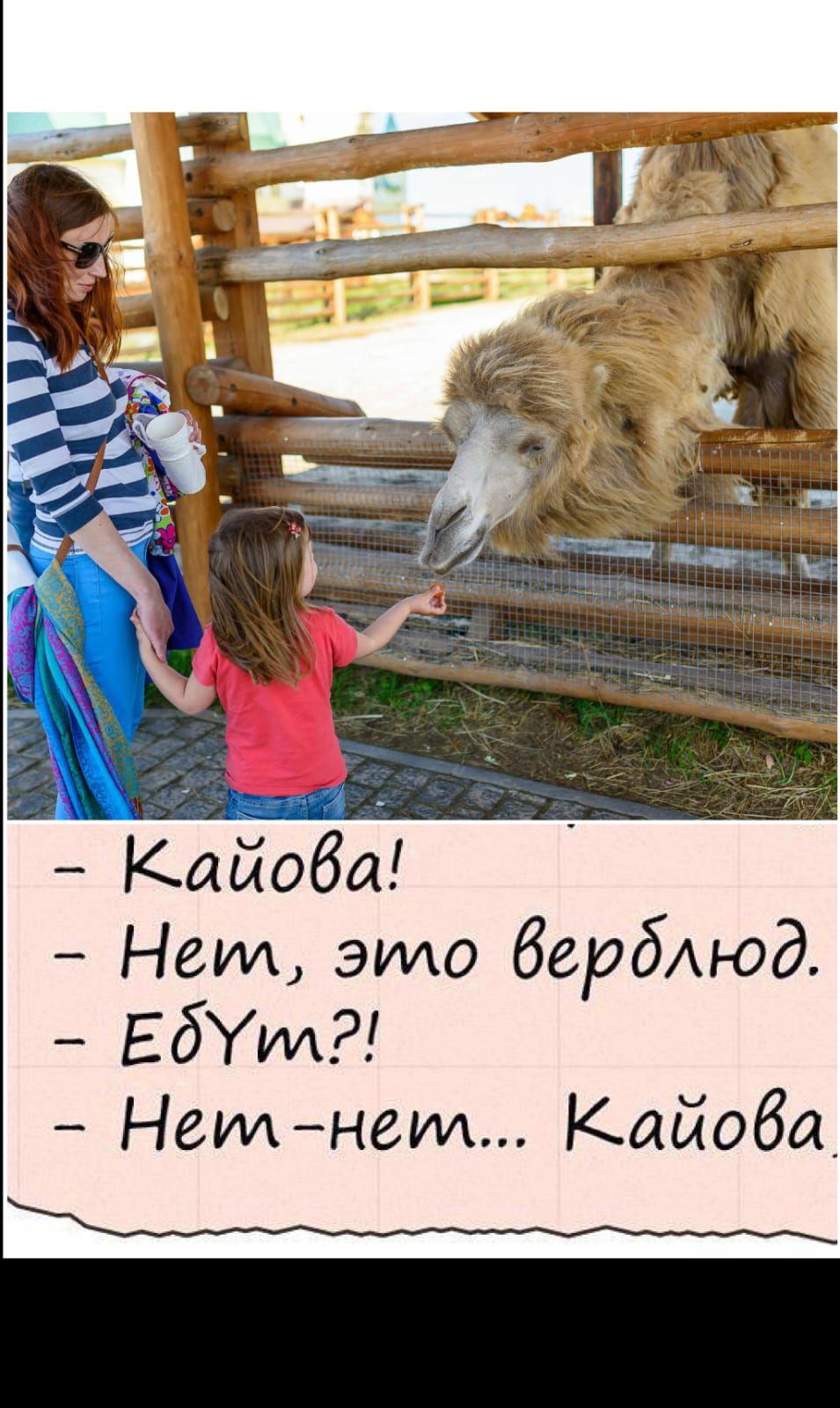 — Каёва!
— Нет, это верблюд.
— Ебут?!
— Нет-нет... Каёва.