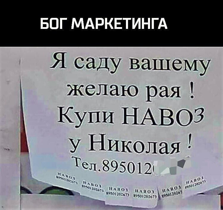 БОГ МАРКЕТИНГА

Я саду вашему желаю рая ! Купи НАВОЗ у Николая ! Тел.8950121