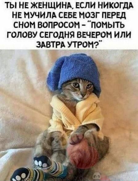 ТЫ НЕ ЖЕНЩИНА, ЕСЛИ НИКОГДА НЕ МУЧИЛА СЕБЕ МОЗГ ПЕРЕД СНОМ ВОПРОСОМ – ПОМЫТЬ ГОЛОВУ СЕГОДНЯ ВЕЧЕРОМ ИЛИ ЗАВТРА УТРОМ?