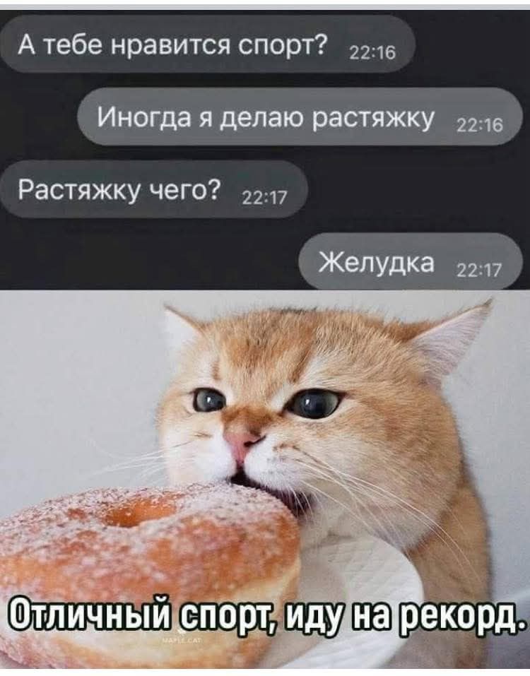 А тебе нравится спорт?
Иногда я делаю растяжку
Растяжку чего?
Желудка
Отличный спорт, иду на рекорд.